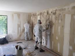 Reliable Beaumont, TX Mold Remediation Solutions